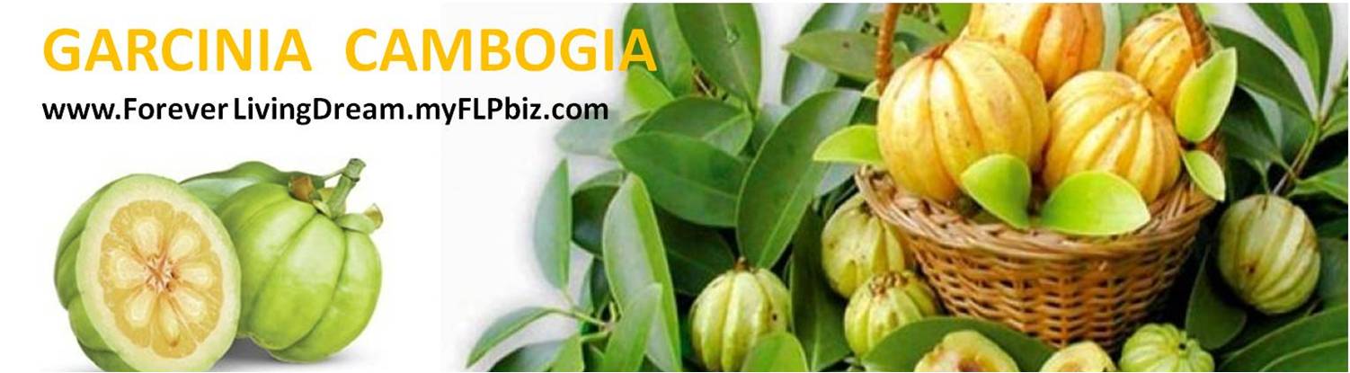 garcinia cambogia