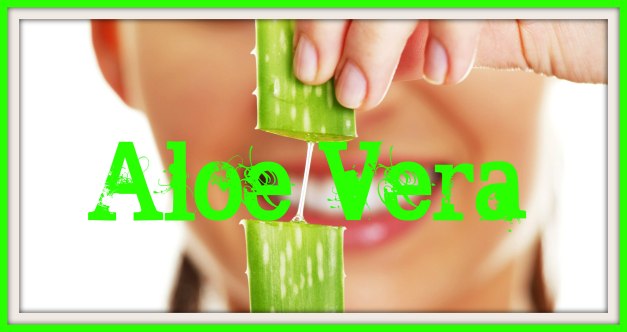 ALOE VERA GEL