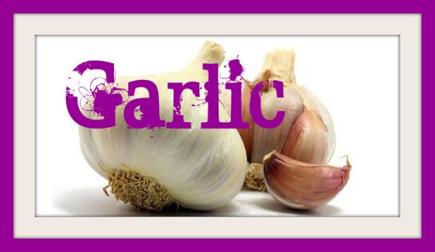 garlic