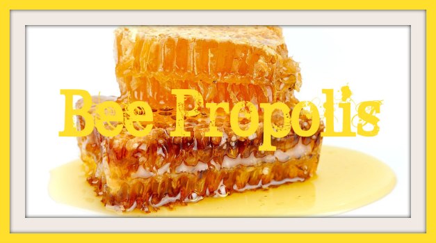 PROPOLIS