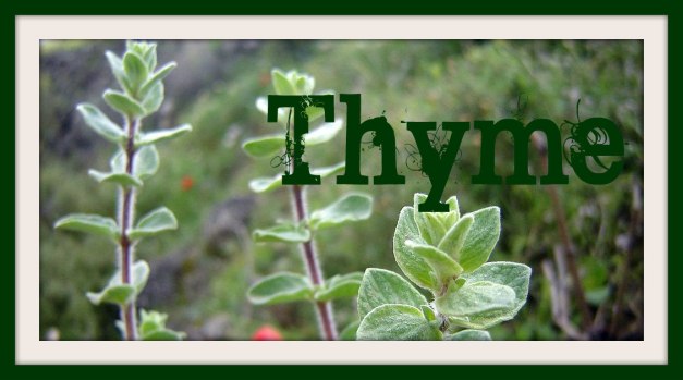 Thyme